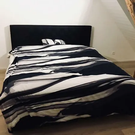 Apartment Luxury Penthouse Zurich