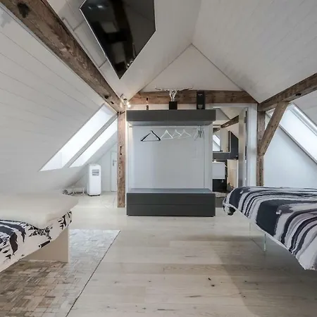 Luxury Penthouse * チューリッヒ
